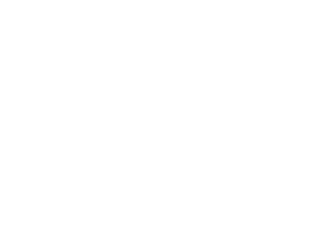 GAPA International LLC